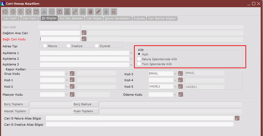 Netsis Cari Modülü