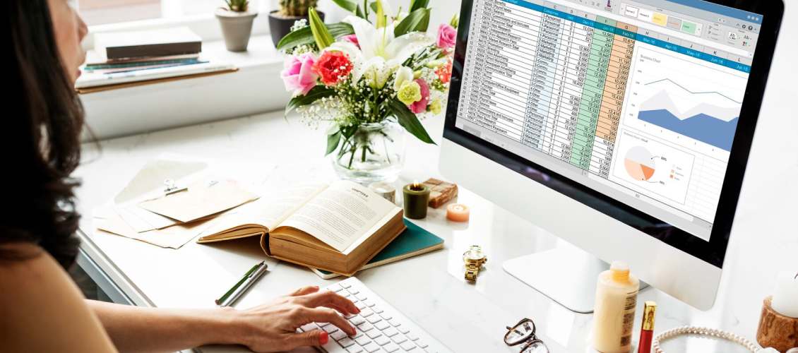 Netsis Muhasebe borç alacak